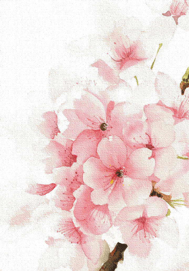watercolor Cherry Blossom