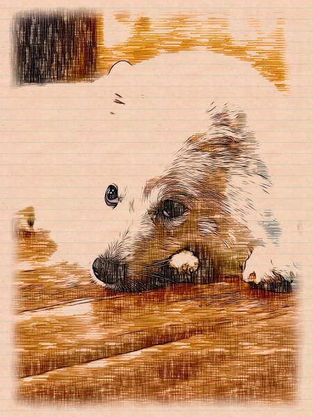 Strele look at madam Setsuna