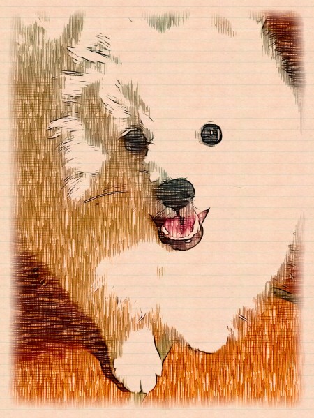 The Case of the Mysterious Patches